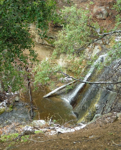 Upper Sisquoc – Los Padres Forest Association