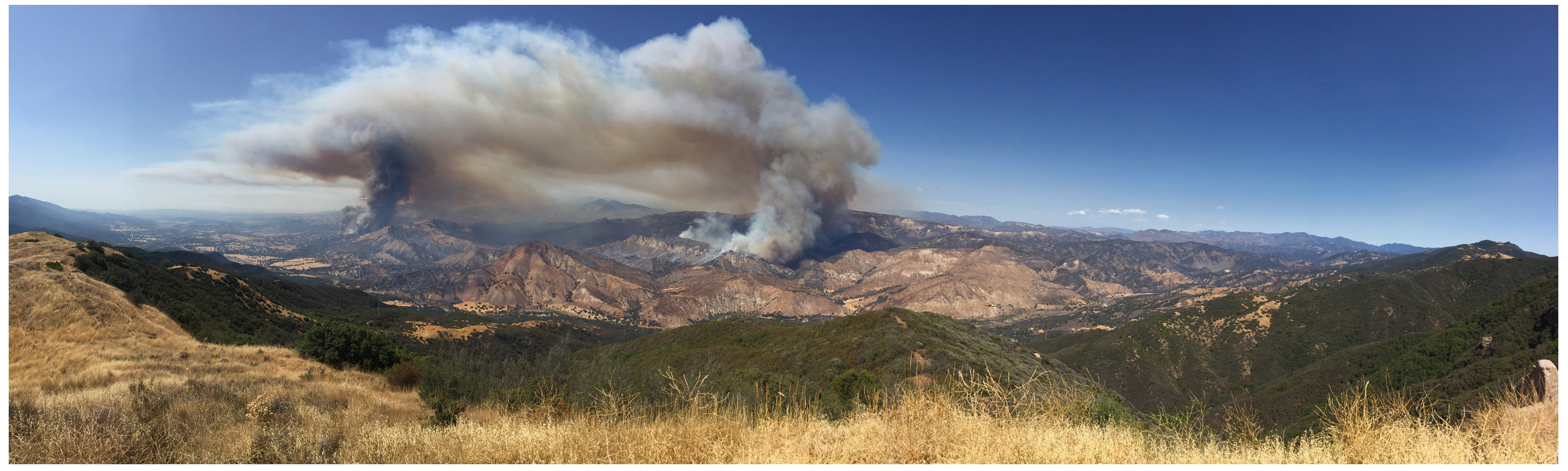 Santa Cruz Trail Restoration – Los Padres Forest Association