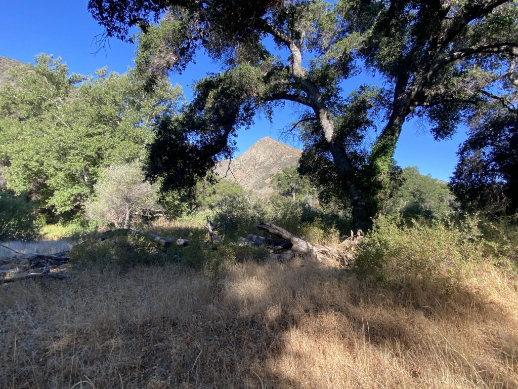 Los Padres National Forest - Piedra Blanca Trailhead (Rose Valley Area) Ojai